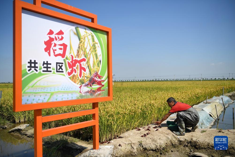 宝马上线娱乐网站多少
